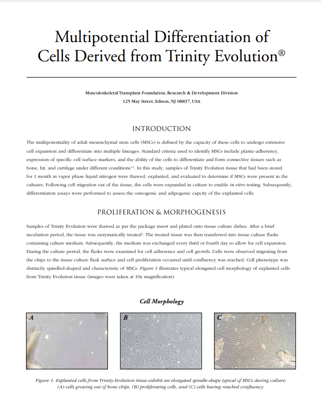 Multipotential Differentiation of  Cells Derived from Trinity Evolution